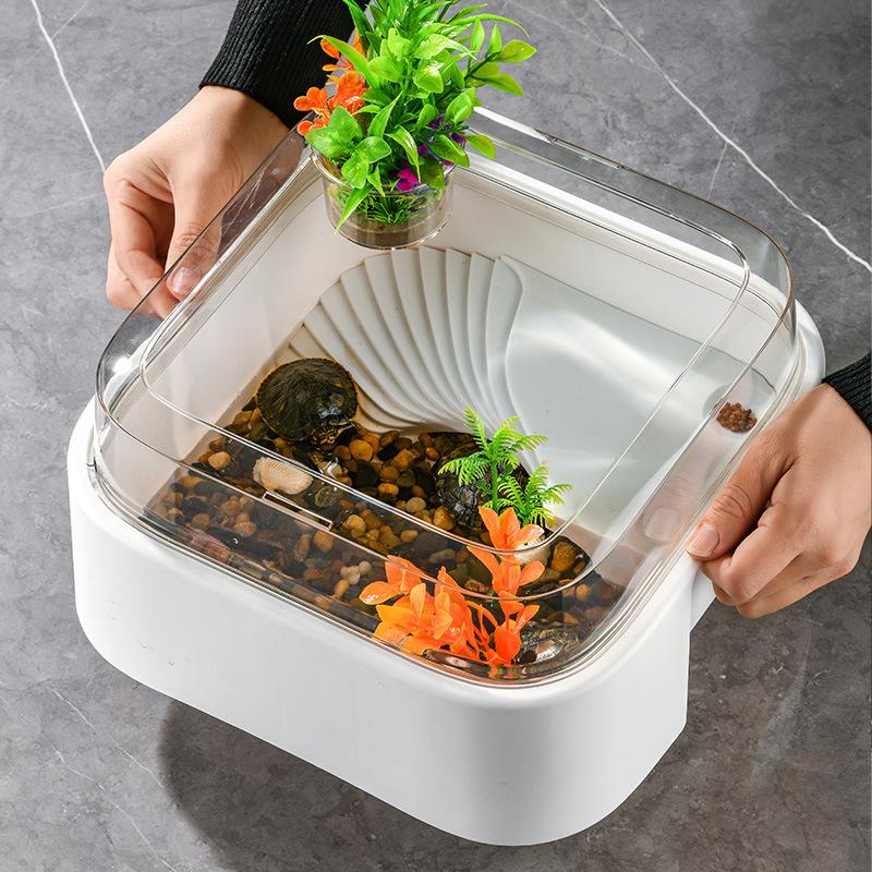 透明なカメ用タンク型生息ボックス、サンプラットフォーム付き、 - Home Decor Habitat のレビューと価格