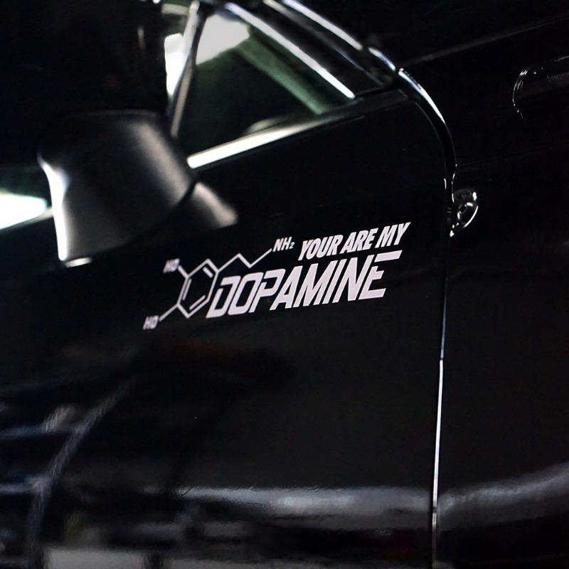 2枚セット「You Are My Dopamine」ビニール - Home Decor Dopamine のレビューと価格