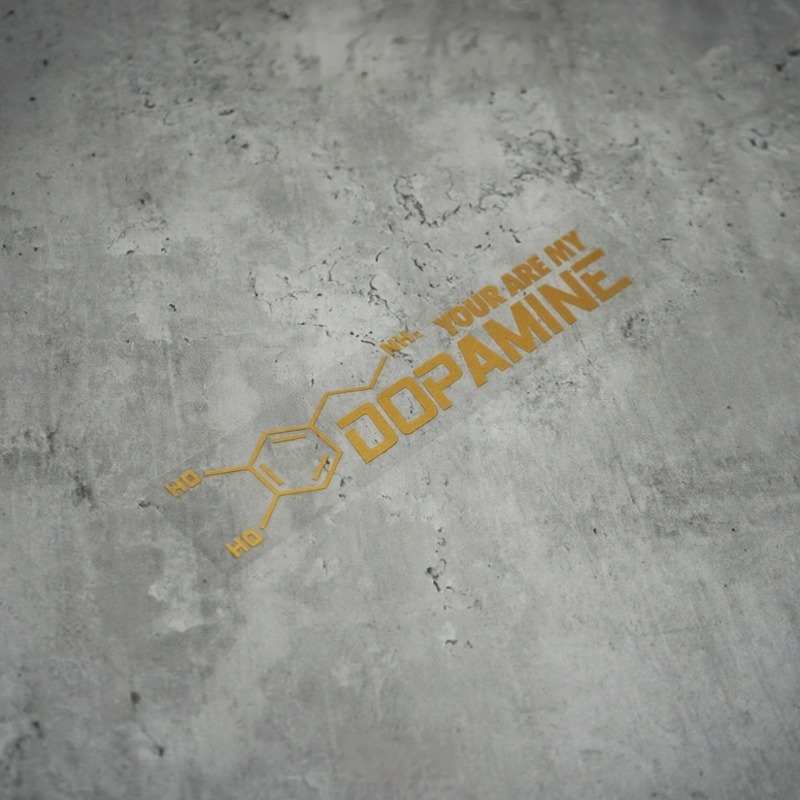 2枚セット「You Are My Dopamine」ビニール - Home Decor Dopamine のレビューと価格