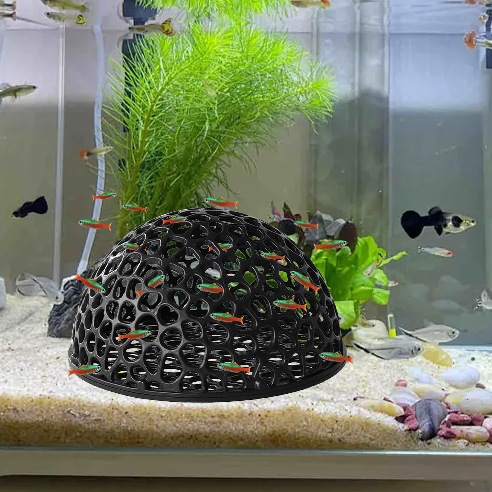 エビの繁殖洞窟水槽 エビの隠れ家 水槽装飾 隠れ道具用品 ベ - Home Decor Habitat のレビューと価格