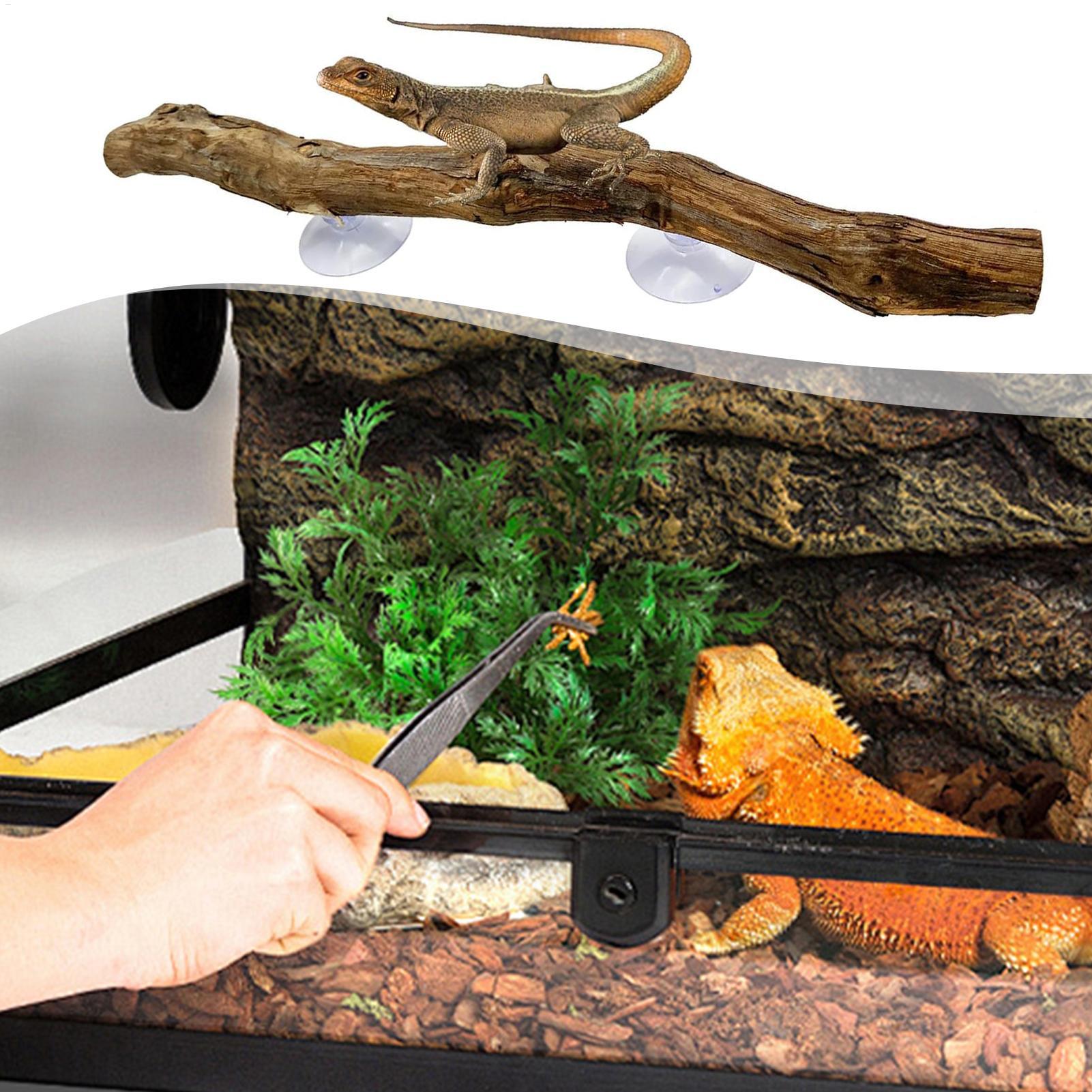 爬虫類クライミングコーナースティック滑り止め爬虫類用枝テラリ - Home Decor Habitat のレビューと価格