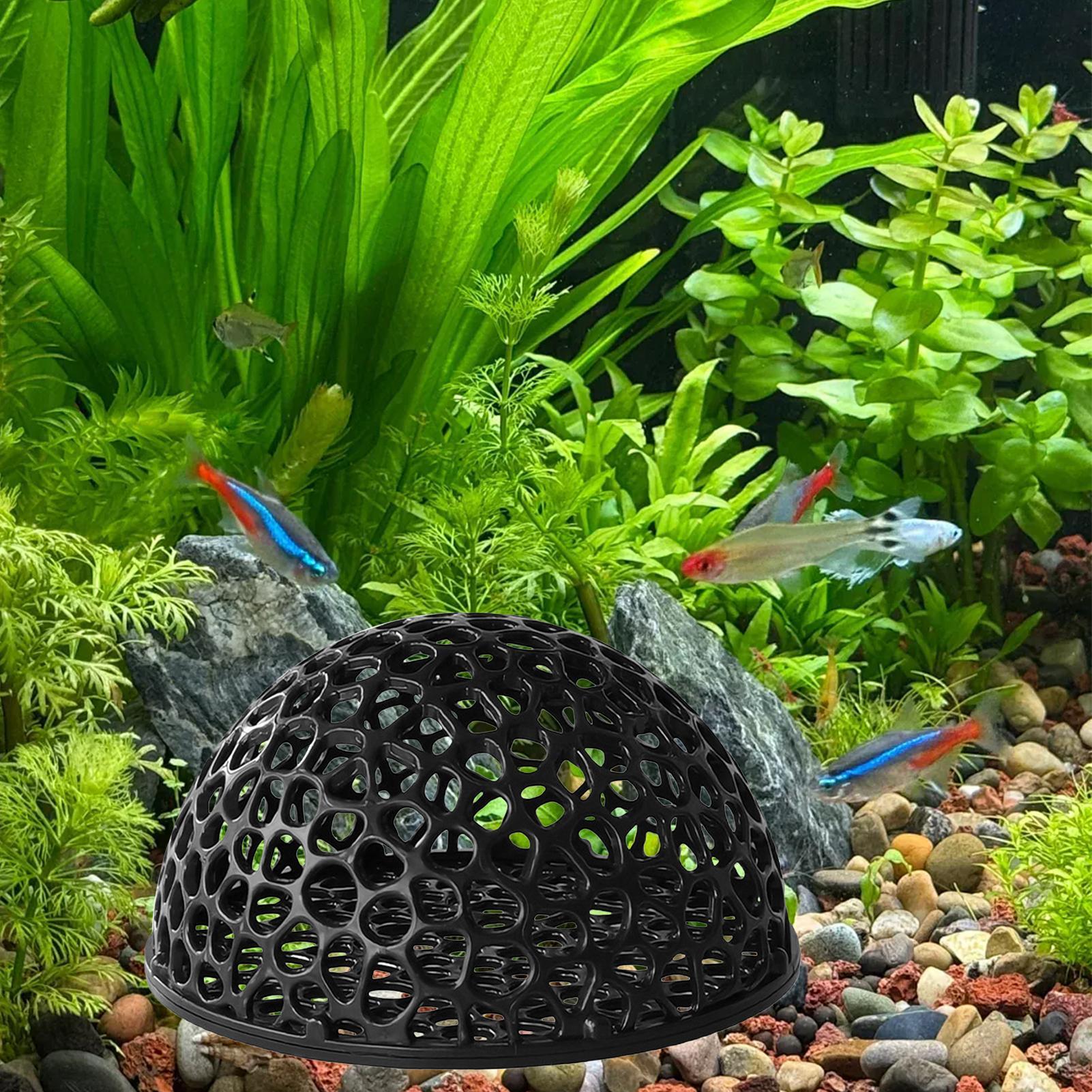 エビ繁殖用洞窟型水槽 エビの隠れ場所 水槽装飾 隠れ具 サプ - Home Decor Habitat のレビューと価格