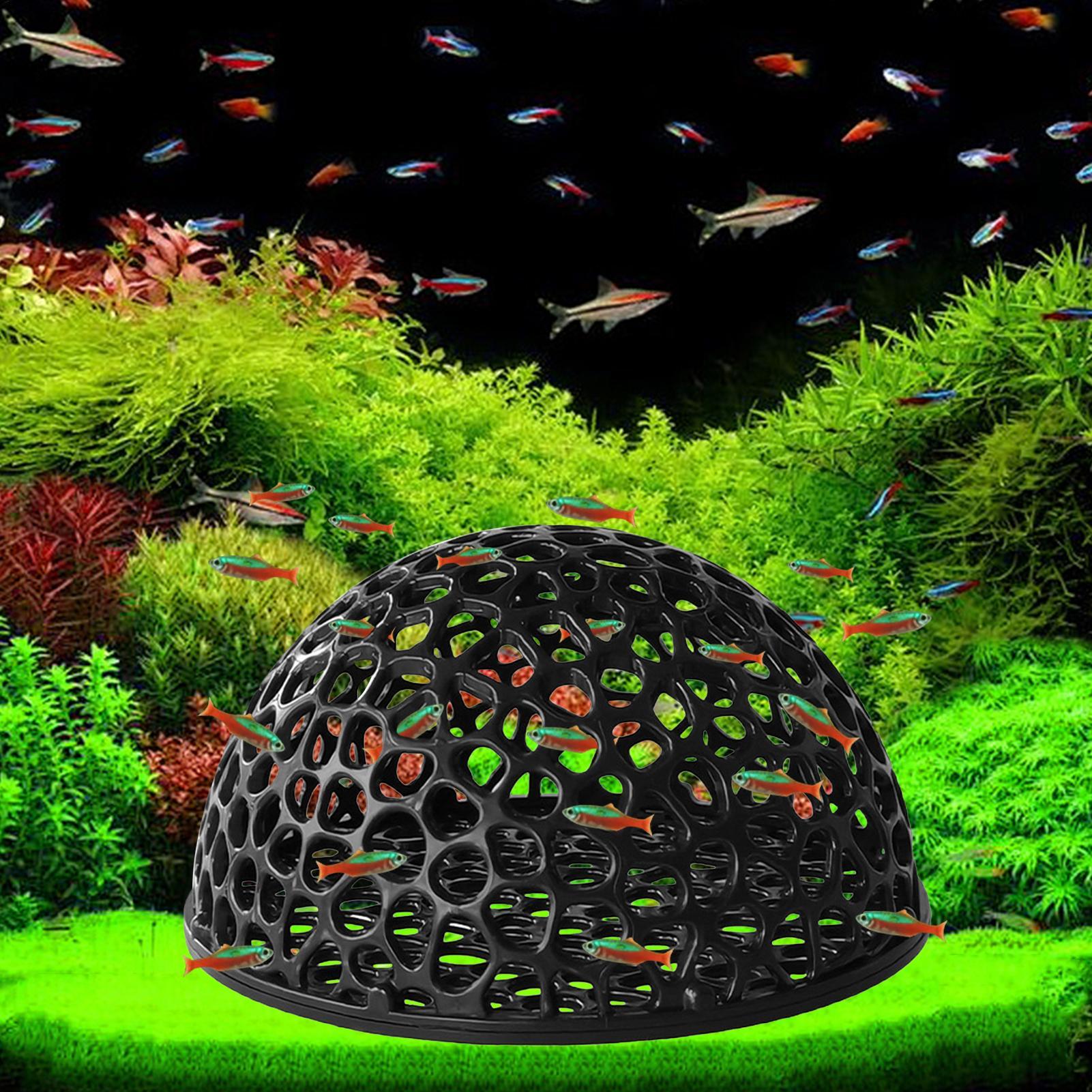 エビ繁殖用洞窟型水槽 エビの隠れ場所 水槽装飾 隠れ具 サプ - Home Decor Habitat のレビューと価格