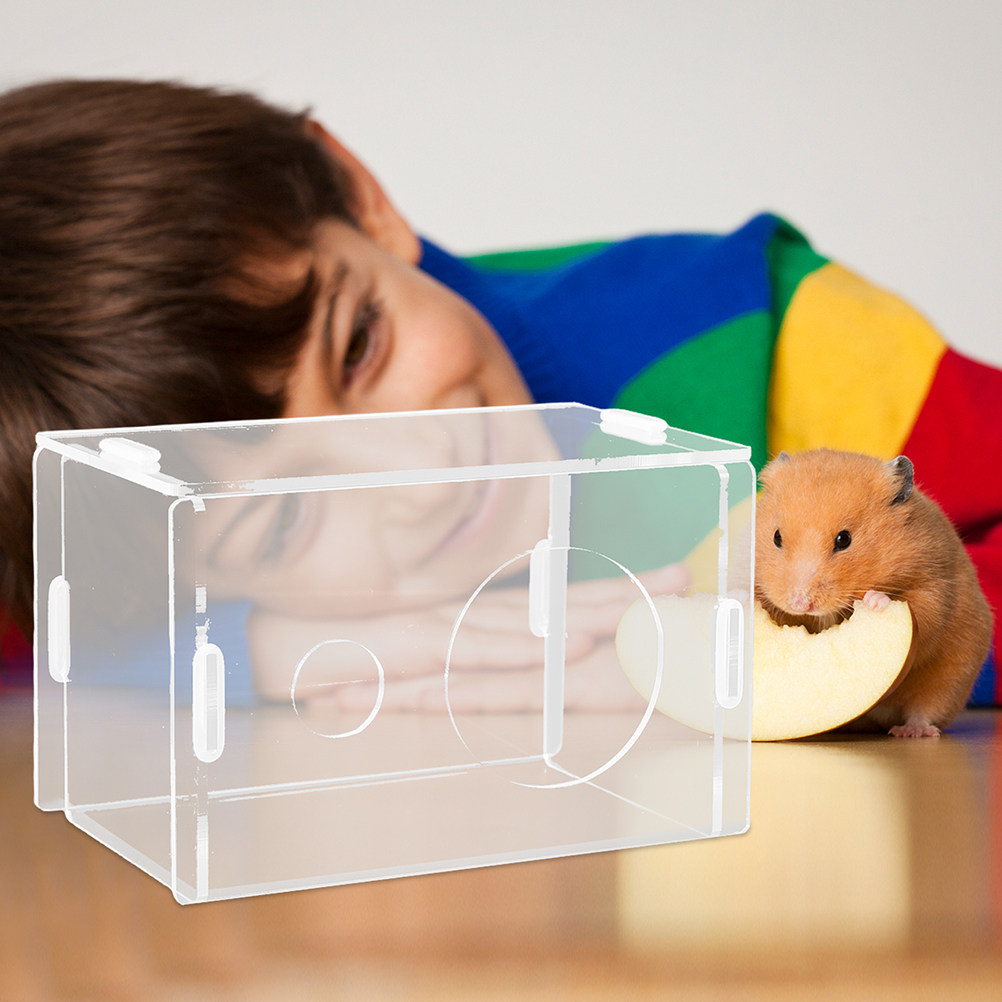 透明アクリル製ハムスター隠れ家 小動物用隠れ家 ポータブル天 - Home Decor Habitat のレビューと価格