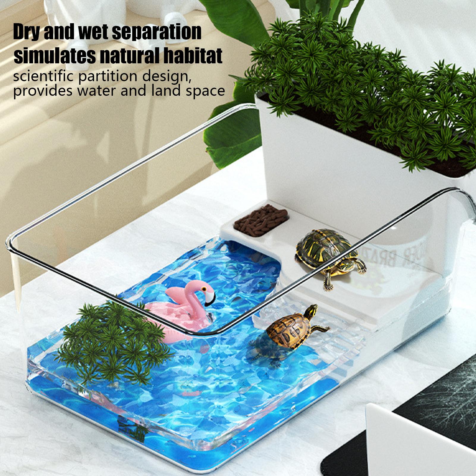 透明なカメ水槽テラリウム、装飾用小型カニの餌やり場、カメやテ - Home Decor Habitat のレビューと価格