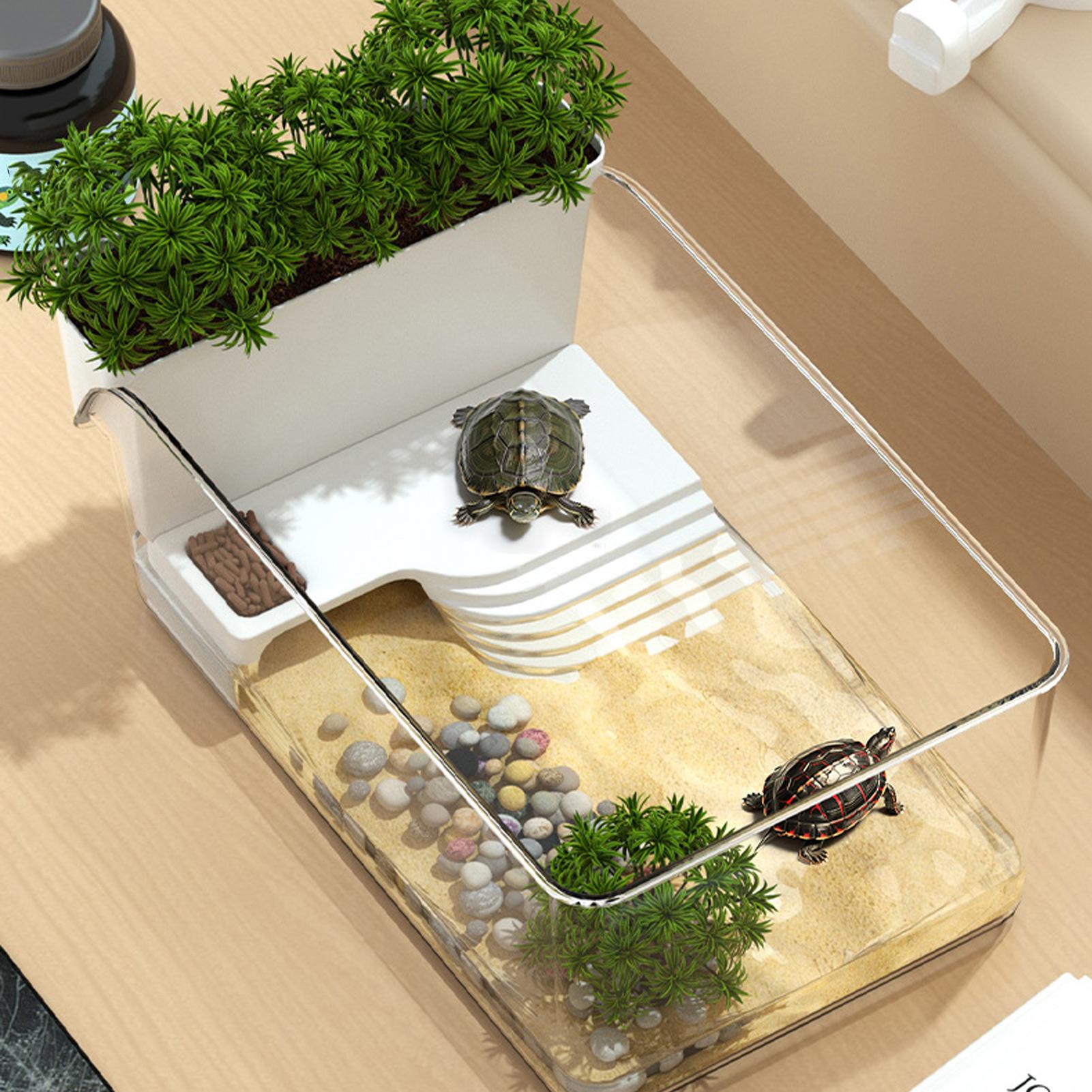 透明なカメ水槽テラリウム、装飾用小型カニの餌やり場、カメやテ - Home Decor Habitat のレビューと価格